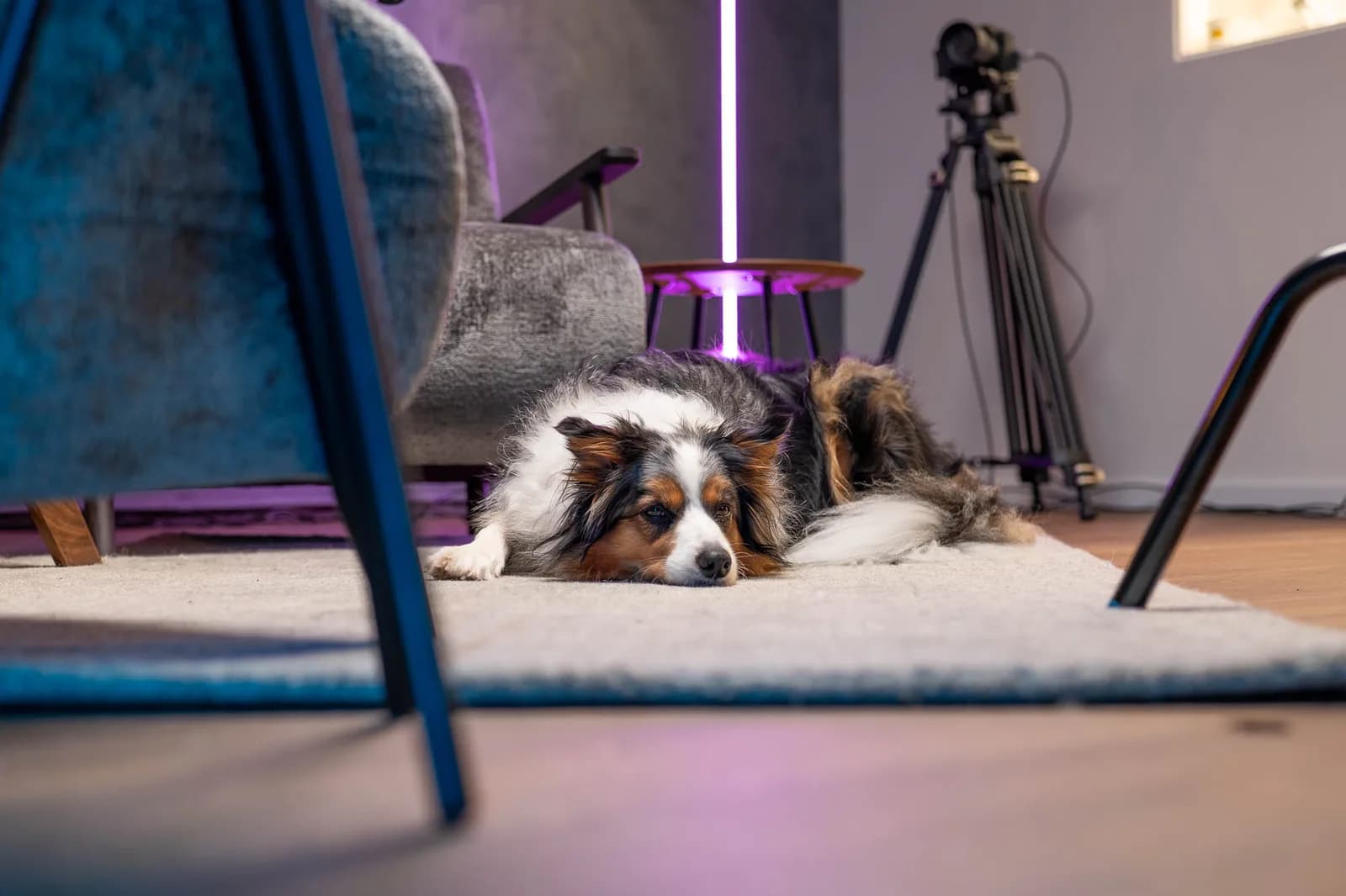 Studio Terapie – fotografie 5 z 8